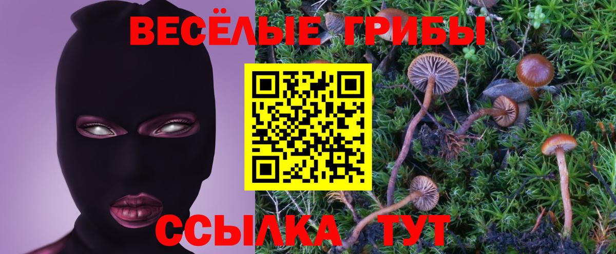 Галлюциногенные грибы прущие грибы  Вход с VPN  Рузаевка  Галлюциногенные грибы ЛСД 